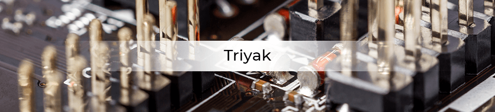 komponent-triyak-empastore.png (117 KB)